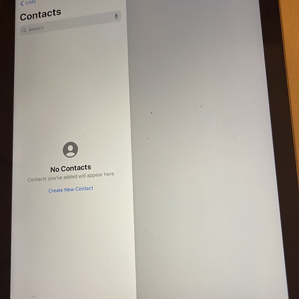 Apple IPad 6th gen